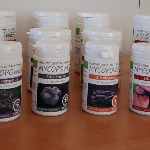 Mycopower 120 paddenstoelextract capsules